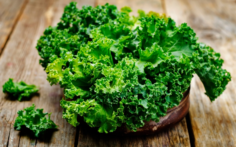 top hạt giống rau dễ trồng kale