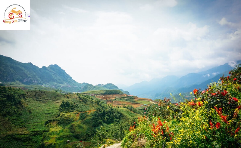 Giang Sơn Travel